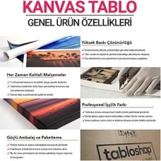 Delaunay - Rythme Tablosu 50 x 103-2 Parçalı