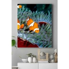 (PSTER15141) Balık Hayvan Kanvas Tablo 50 x 70