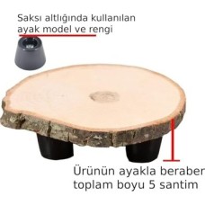 Prime Ağaç Saksı Altlığı Ayaklı Çapı 14-16 Santim Prime Ağaç Saksı Altlığı Ayaklı Çapı 14-16 Santim