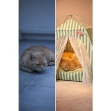 Katlanabilir Yazlık Kedi Evi File Panelli Taşınabilir Minderli Evcil Hayvan Çadırı 35X35X35 cm Iç Minderli Nefes Alabilir Taşınabilir Kedi Köpek Evi Konforlu Uyku Alanı (Yeşil)
