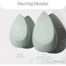 Ecotools Blend + Blur Makyaj Fırçası ve Sünger Duo, Makyaj Sünger ve Fondöten Fırçası, Sıvı ve Krem Makyaj, Bulut Cildi, Çevre Dostu, Lateks Içermez, Zulüm Içermez, & Vegan, 2 Adet