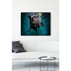 (PSTER14010) Yüzen Köpek Eğlenceli Mizahi Çerçeveli Tablo (50X70CM) (PSTER14010) Yüzen Köpek Eğlenceli Mizahi Çerçeveli Tablo (50X70CM)