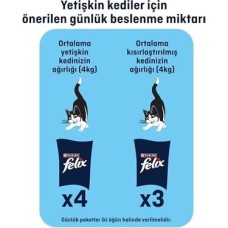 Prime Felix Lezzetli Dilimler Tonlu 80 gr Tekli Paket