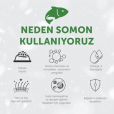 's Protection Care Beyaz Tüylü Köpekler Için Tahılsız Somonlu Tüm Irklar Yavru Köpek Maması 1.5kg
