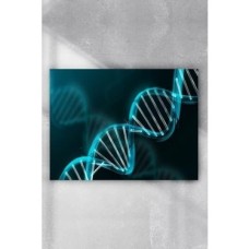 Prime (PSTER3922) Dna Bilimsel Poster (70X100CM)