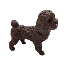 Soft Köpekler - Poodle Cinsi Köpek - E013 (Lisinya)
