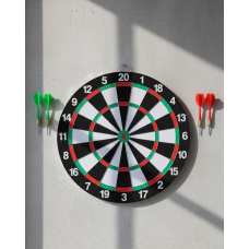 Ev ve Oyun Alanları İçin Dart Tahtası 12 İnç 4 Dart Oku Dahil - Lisinya
