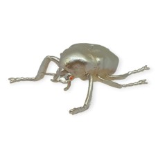 Böcek Figürleri - Gerçekçi Figür - Dev Kabuk Böceği 12 cm (Lisinya) Böcek Figürleri - Gerçekçi Figür - Dev Kabuk Böceği 12 cm (Lisinya)