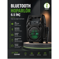 10W Güçlü Ses Performanslı Bluetooth Karaoke Hoparlörü - Lisinya
